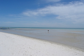 Die Bay von Melbourne, ich binde mir die Hosen hoch